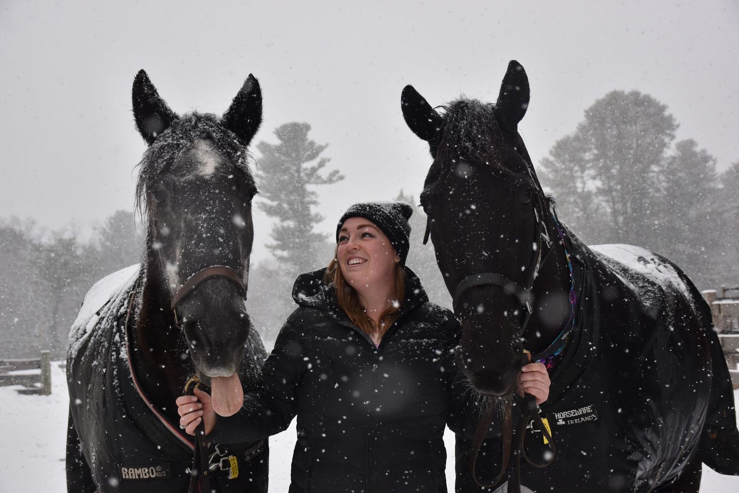Horse Snow Shoot