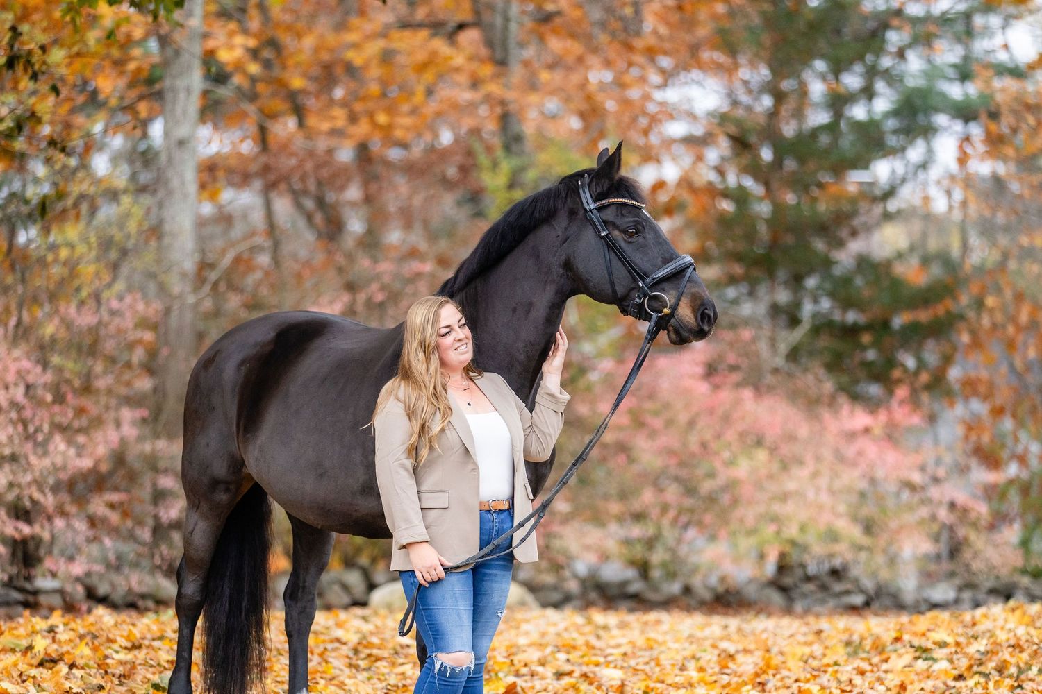 Horse and Rider Pose