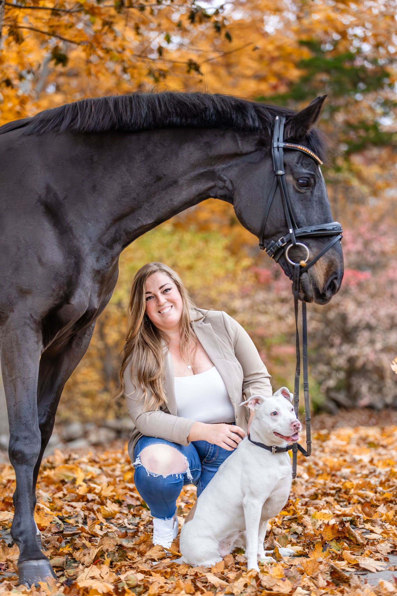 horse and dog photoshoot