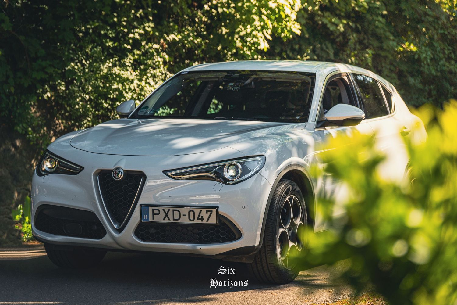 Selenia Rally Stelvio