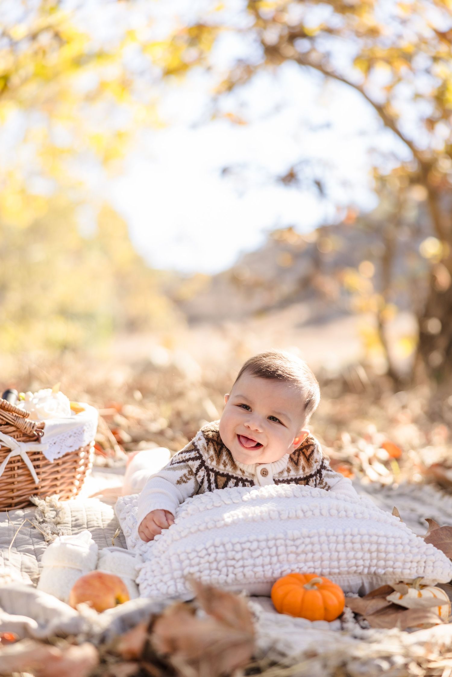 San Diego Autumn Mini Session Photographer - Fall Picnic