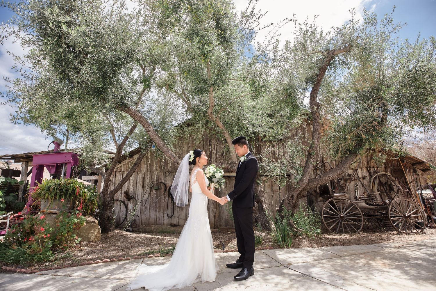 Bride and groom share a romantic first look under a sprawling olive tree at a rustic outdoor wedding venue - Best San Diego Wedding Photogra