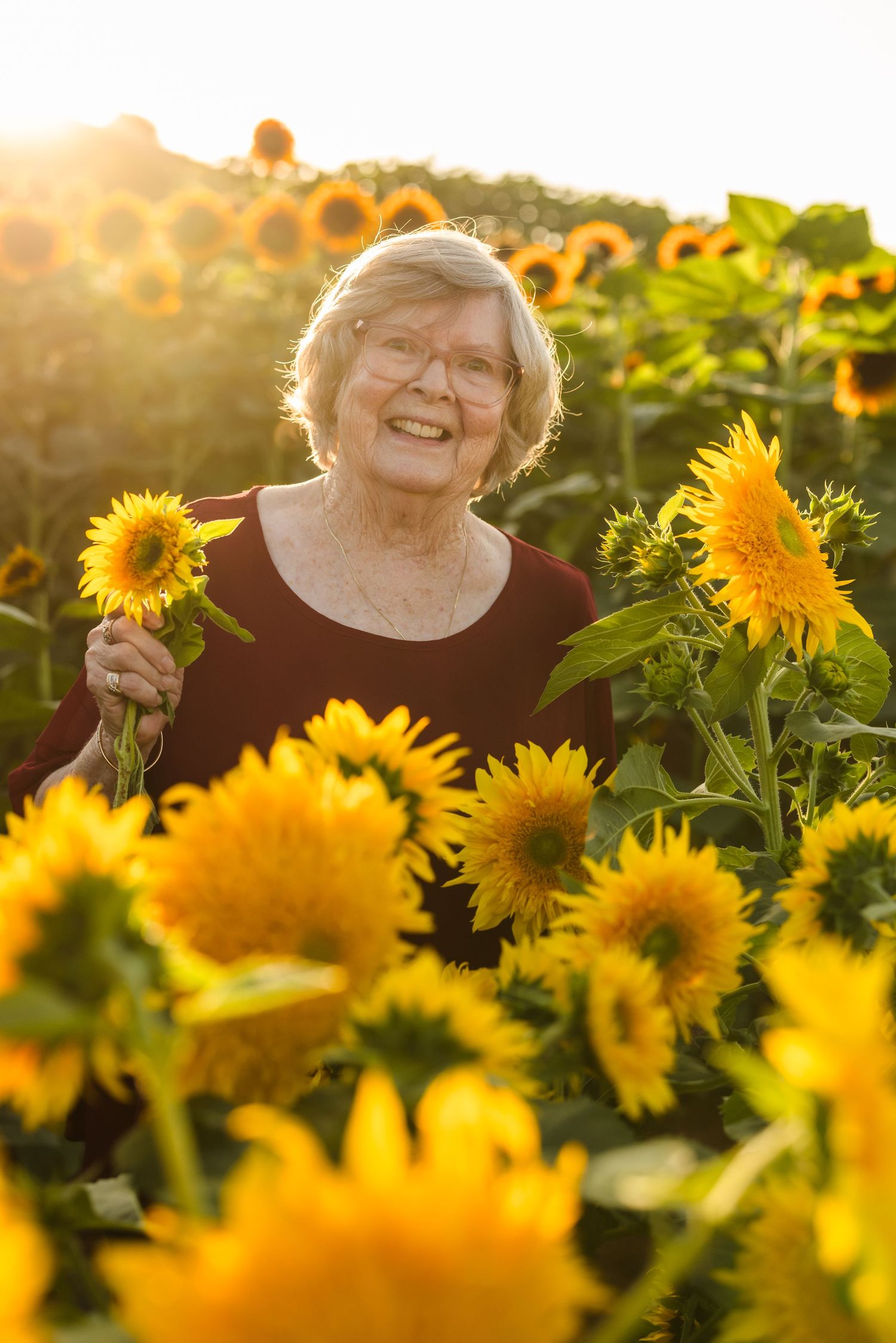 San Diego Sunflower Family  Sessions at Pumpkin Station