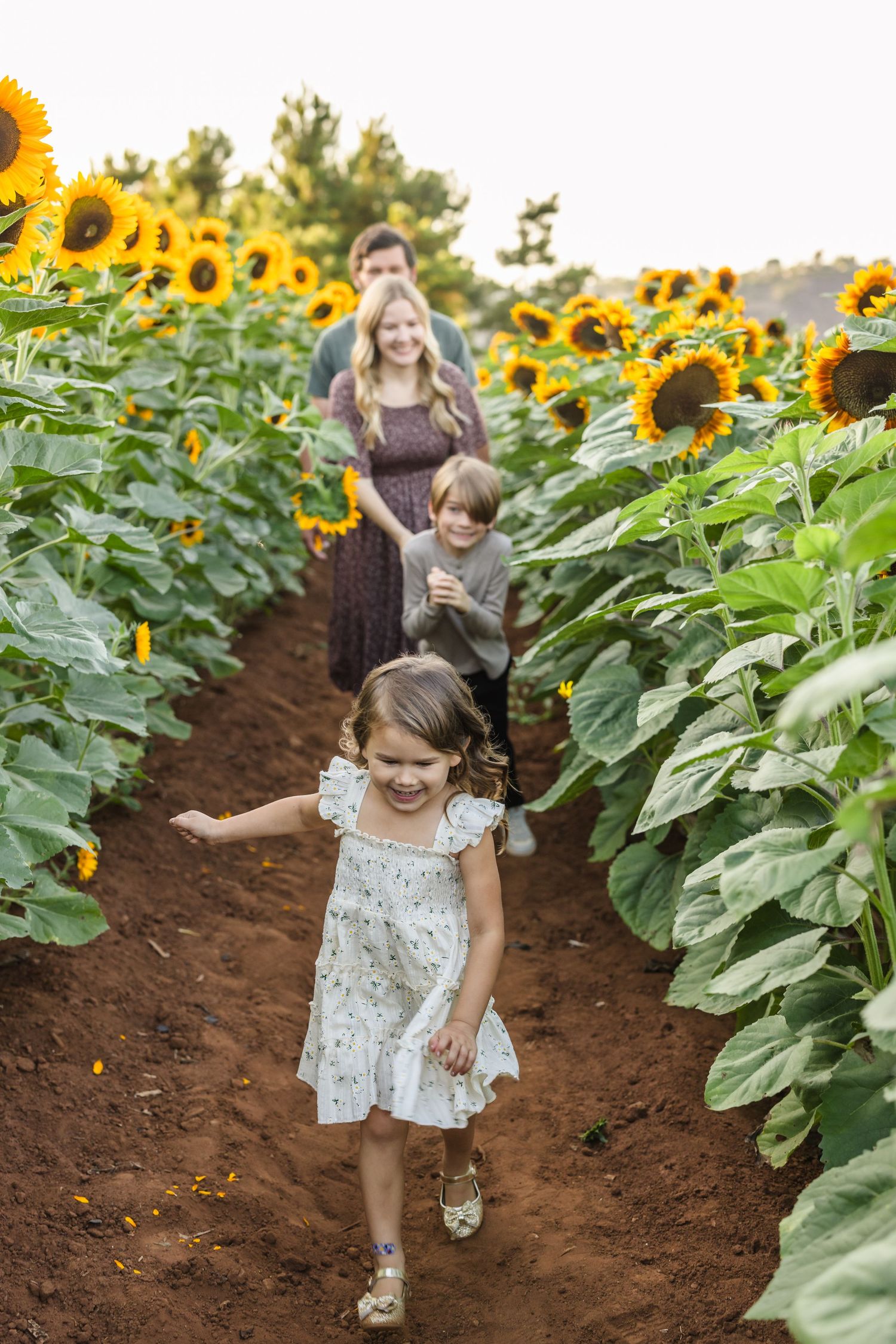 San Diego Fall Mini Session Photographer - Sunflower pumpkin patch at Pumpkin Station, Permits included