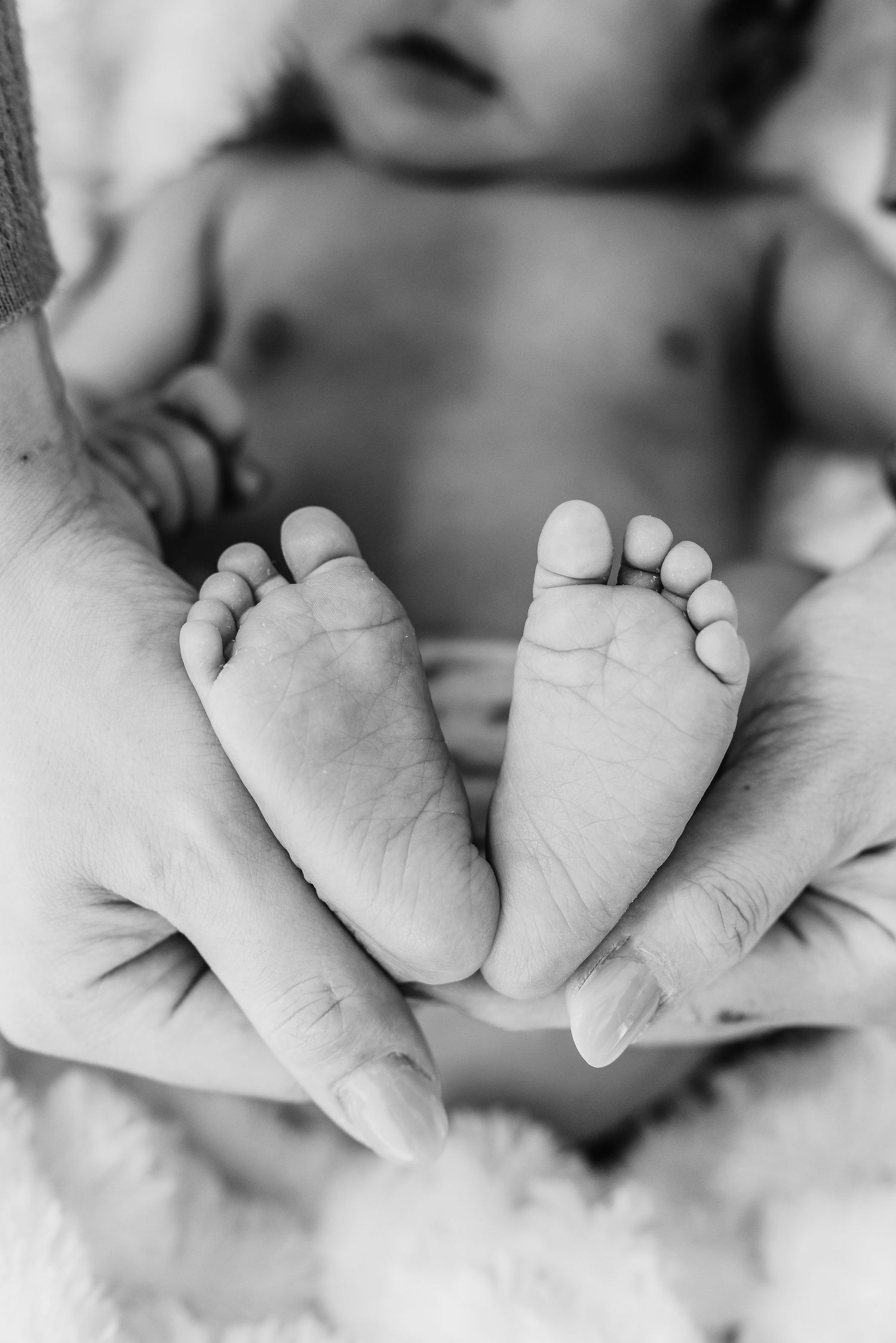 San Diego Newborn Studio Photoshoot