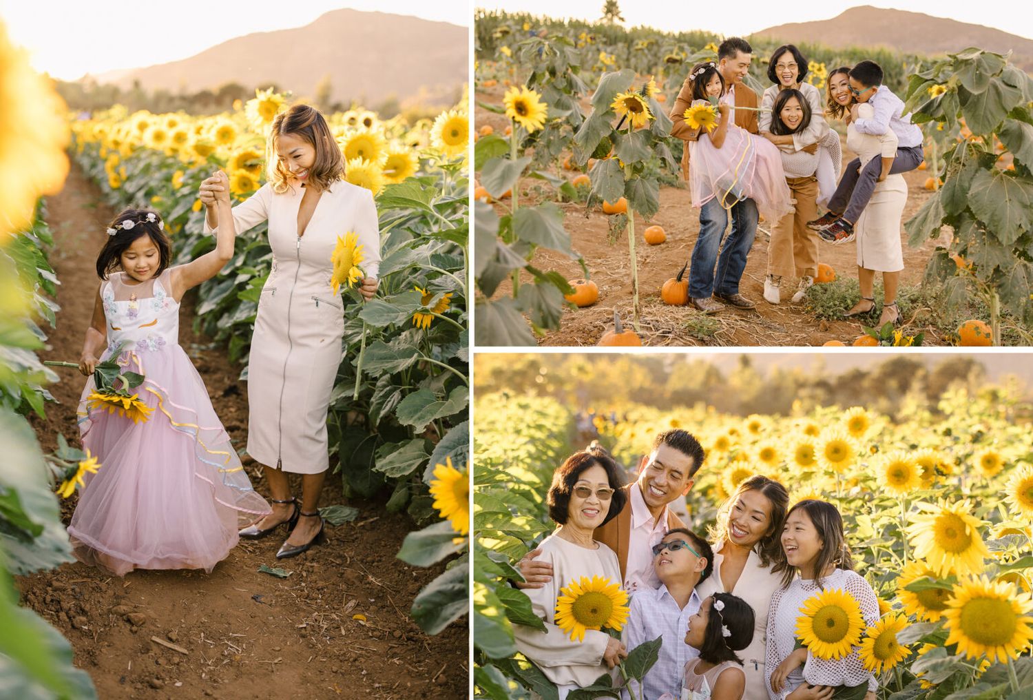 San Diego Holiday Mini Session Photographer - Pumpkin Patch Sunflower Field