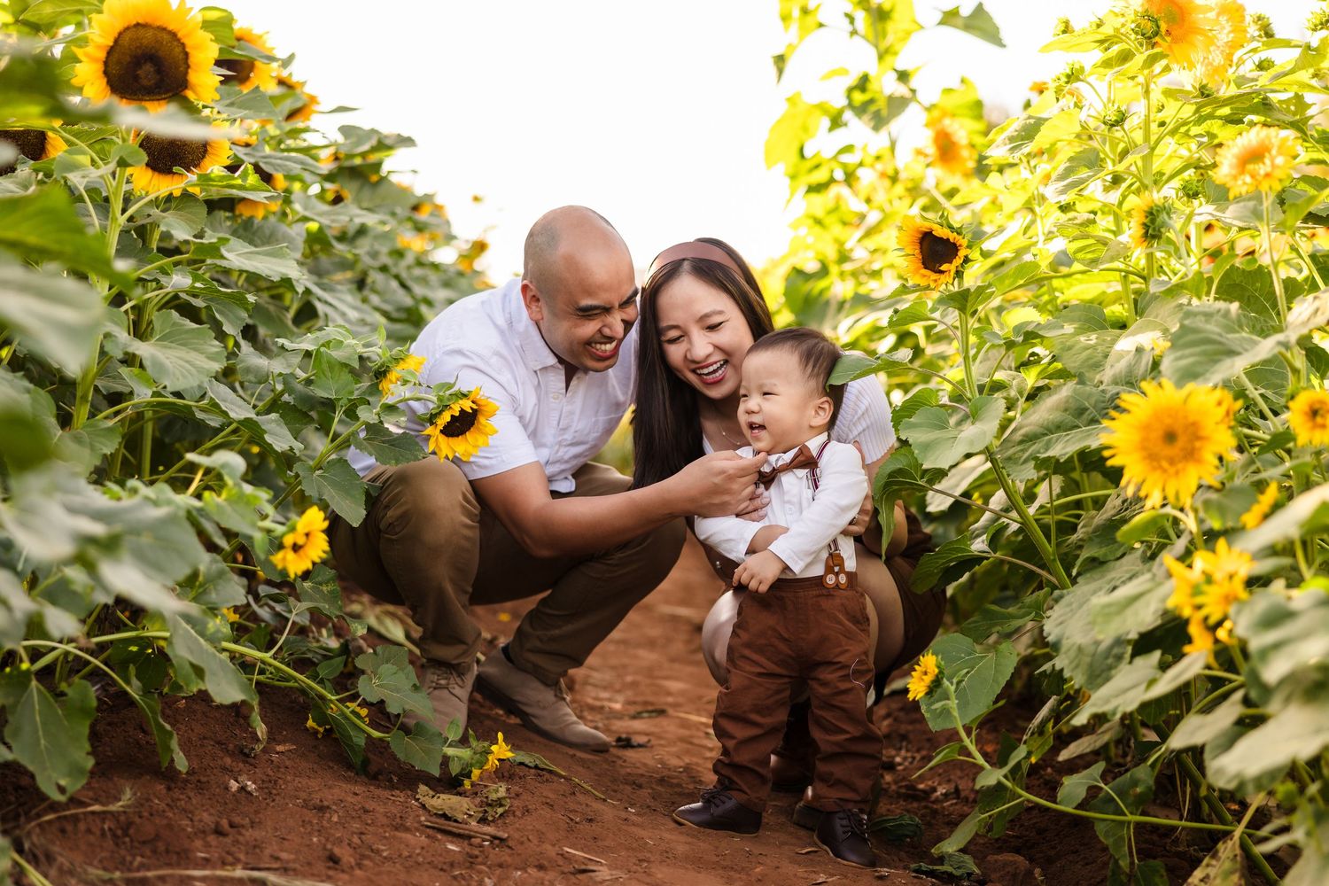 San Diego Sunflower Family  Sessions at Pumpkin Station