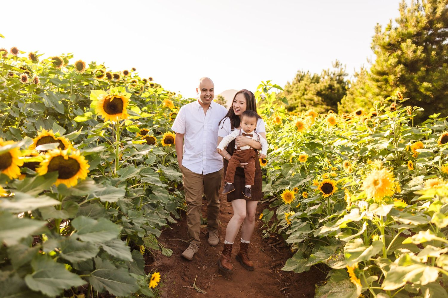 San Diego Sunflower Family  Sessions at Pumpkin Station Rancho Bernardo