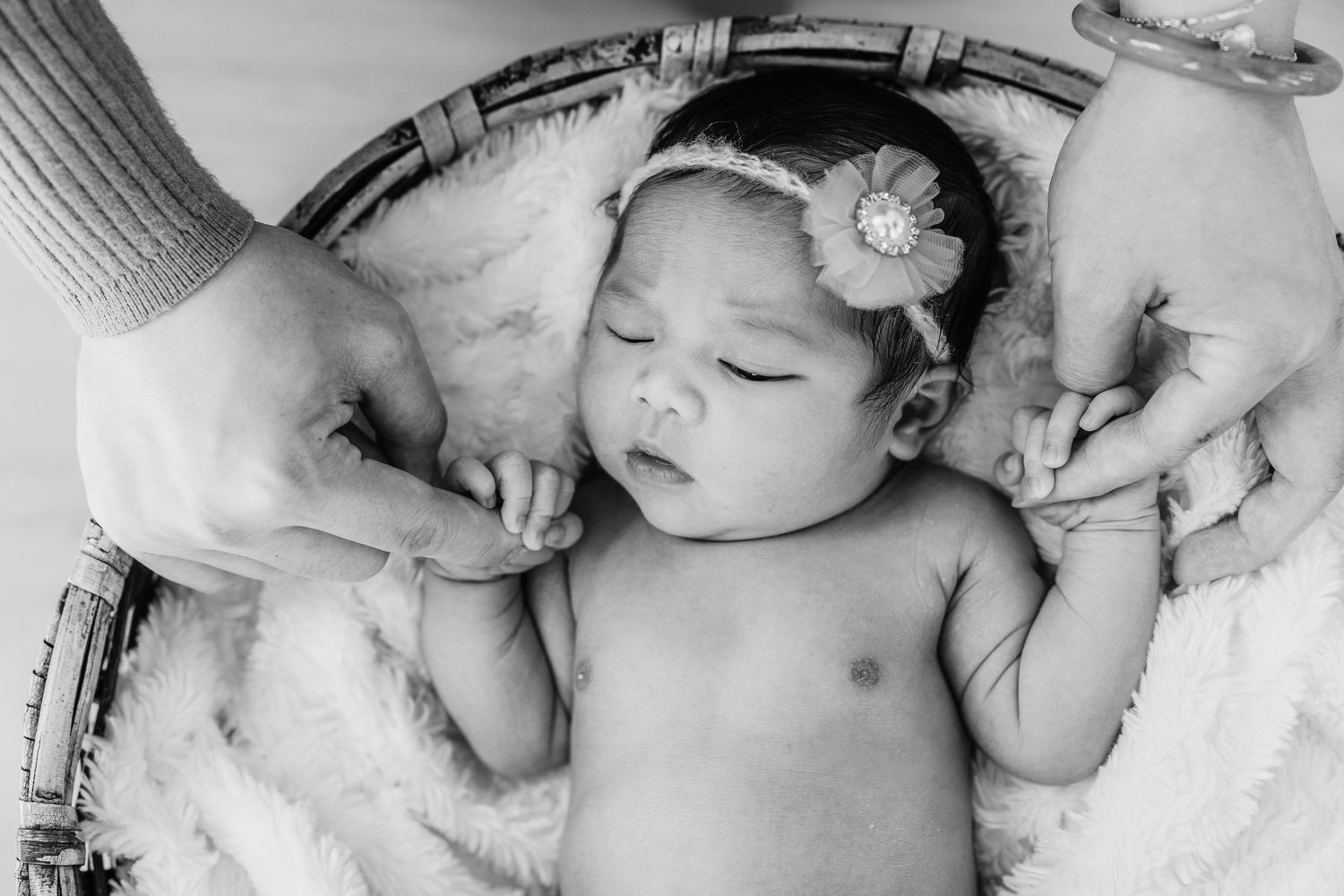 San Diego Newborn Studio Photoshoot