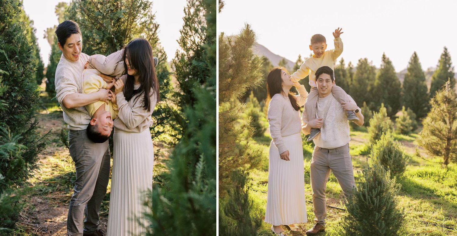 Christmas Tree Farm Minis - San Diego Family Photographer
