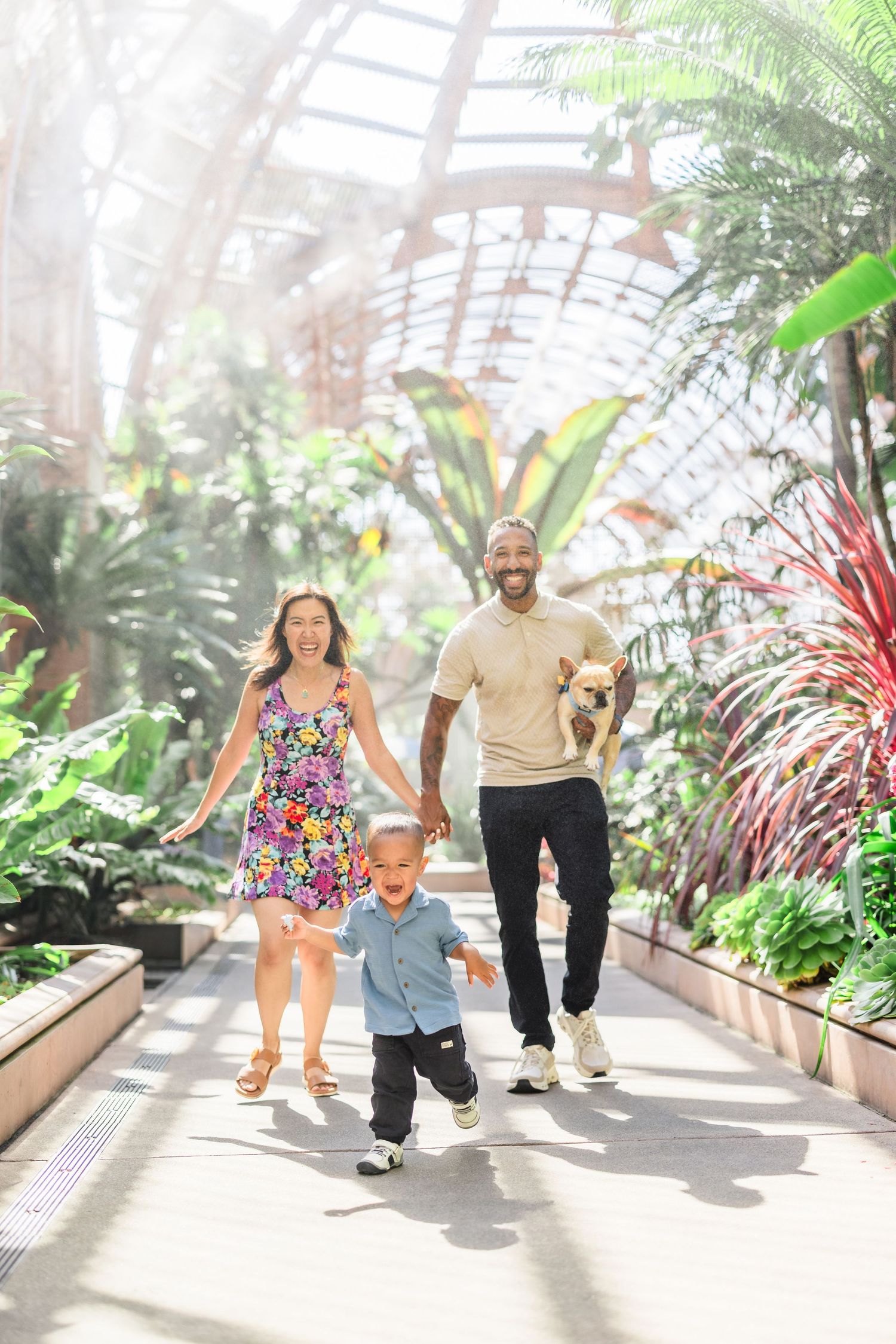 Jenny Thai Photography - San Diego Family Photographer - Balboa Park Botanical Building - sunlit tropical greenhouse garden.