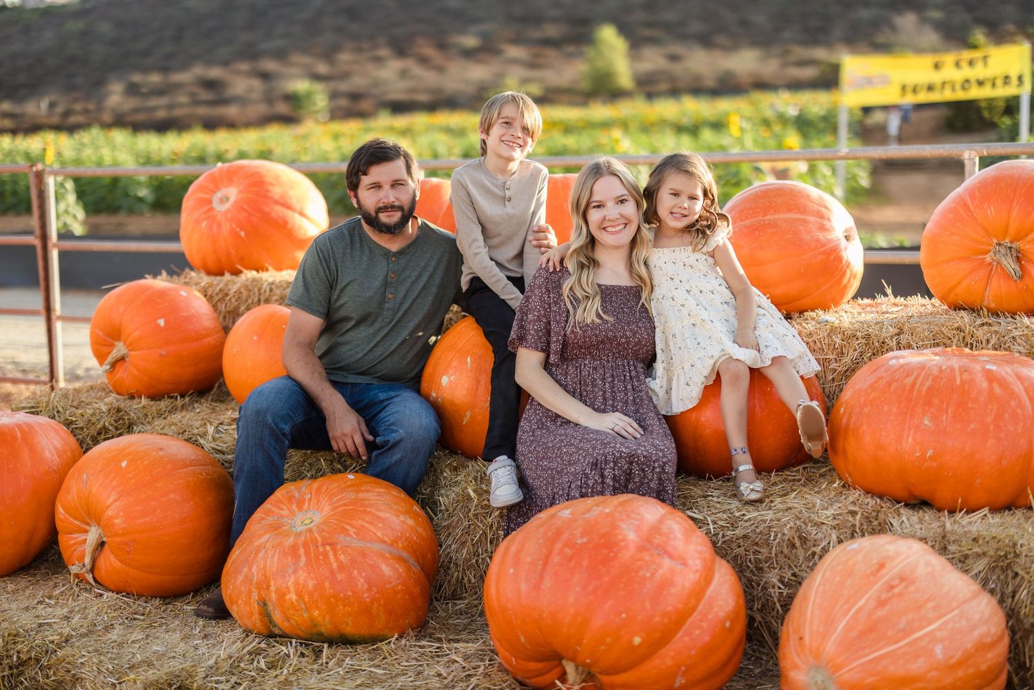 Pumpkin Patch Fall Mini Session - San Diego - Pumpkin Station Rancho Bernardo