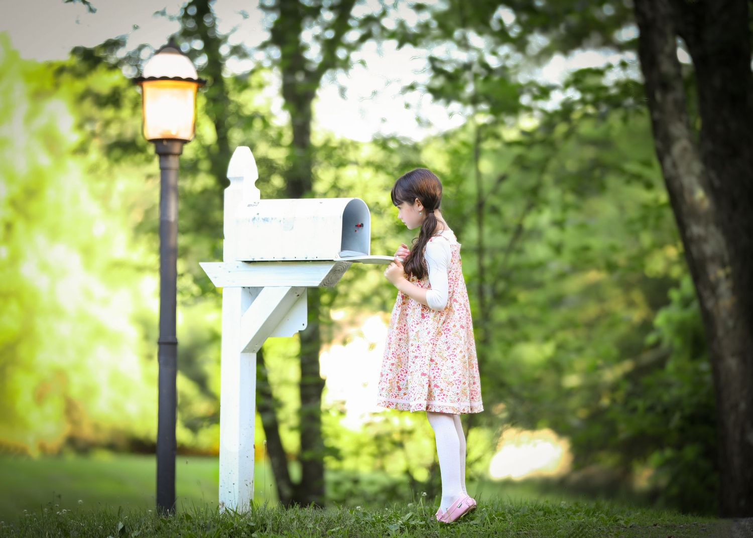 peri rosner photography