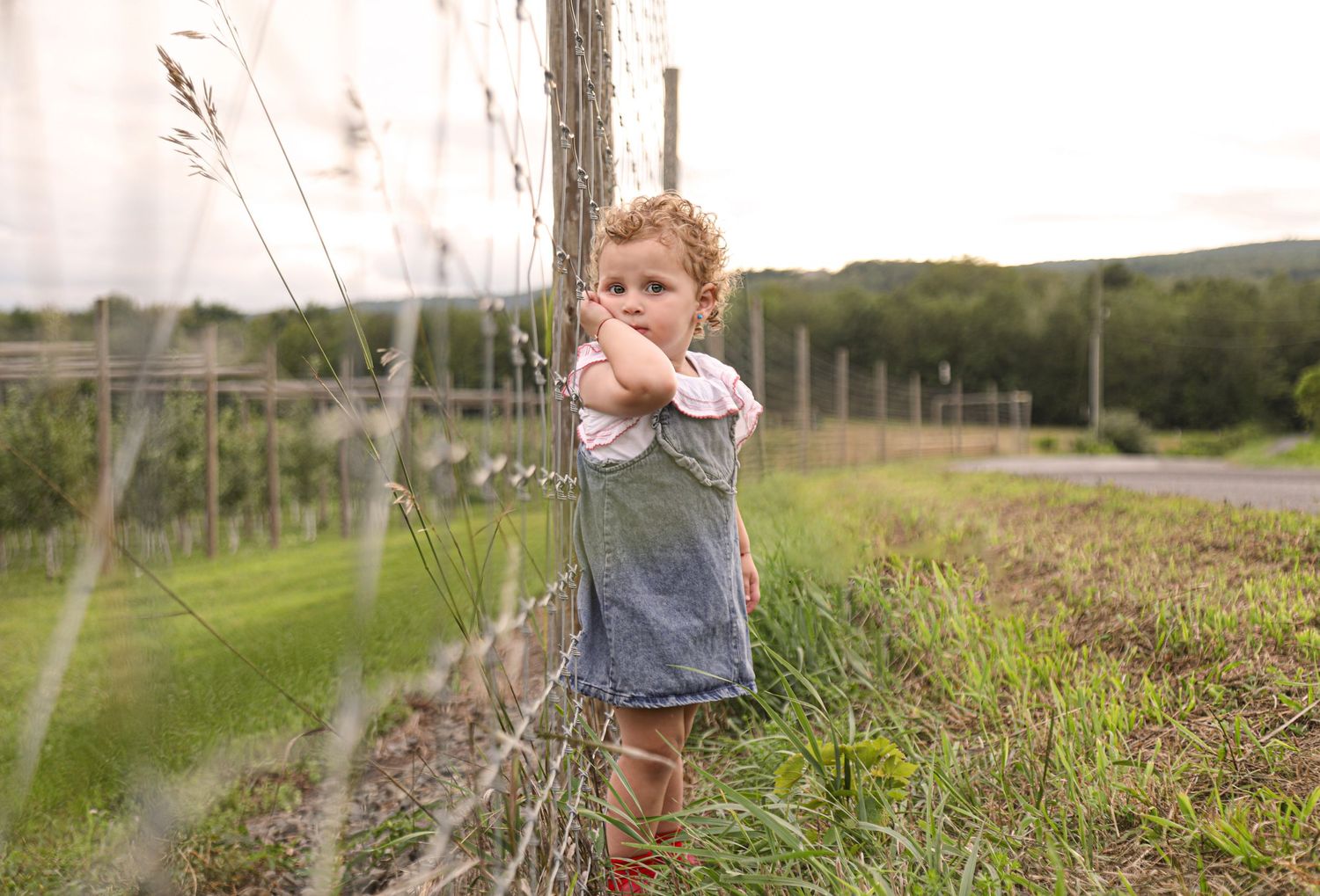 peri rosner photography