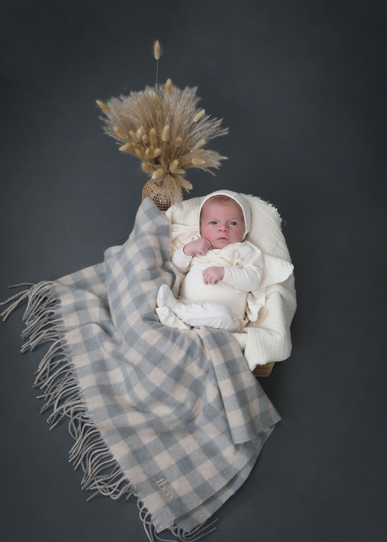 peri rosner photography