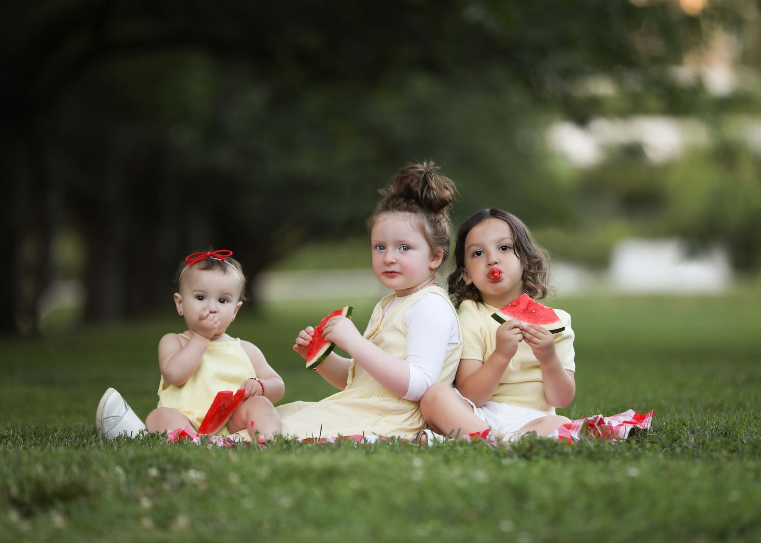 peri rosner photography