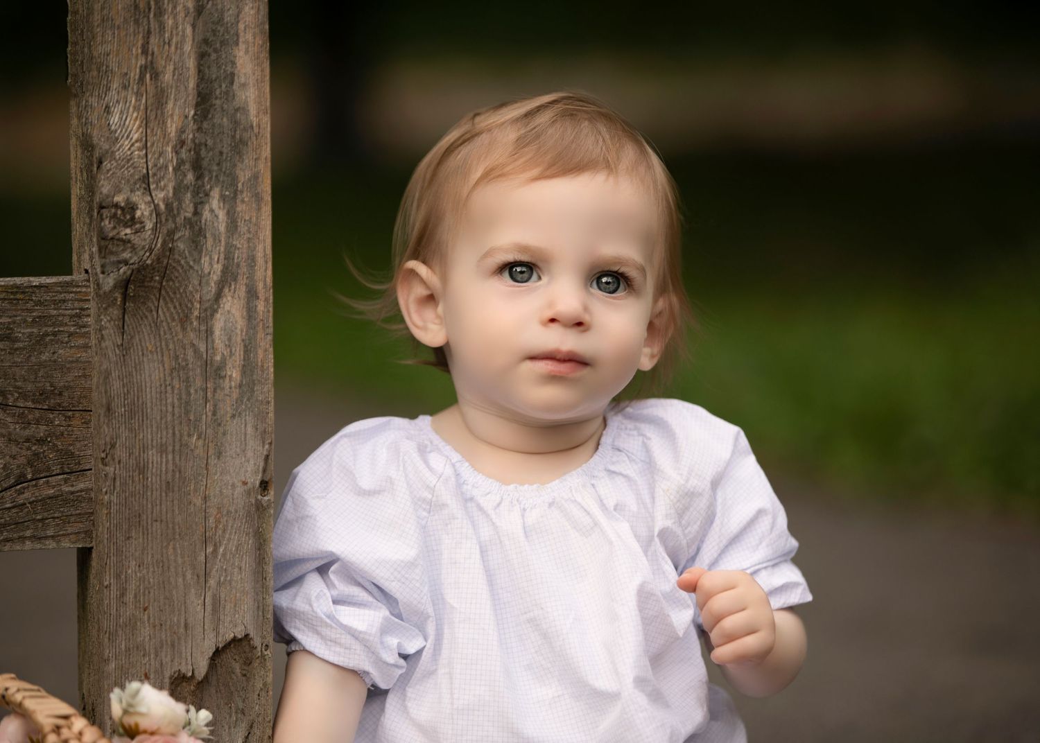 peri rosner photography