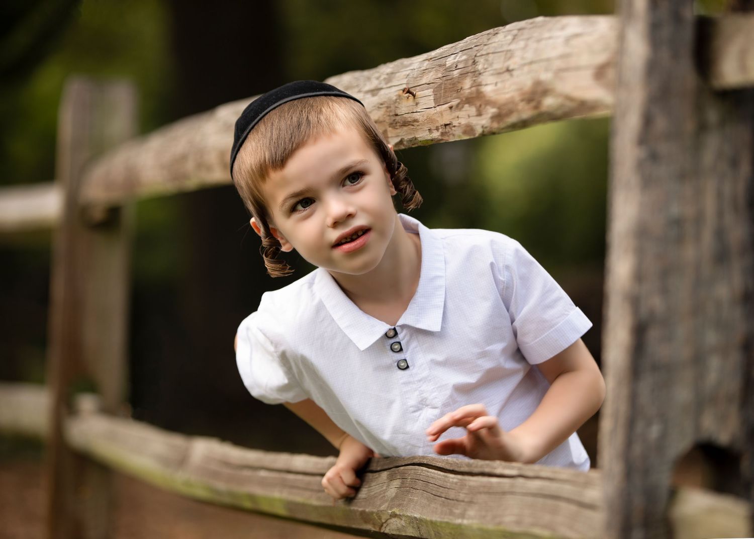 peri rosner photography