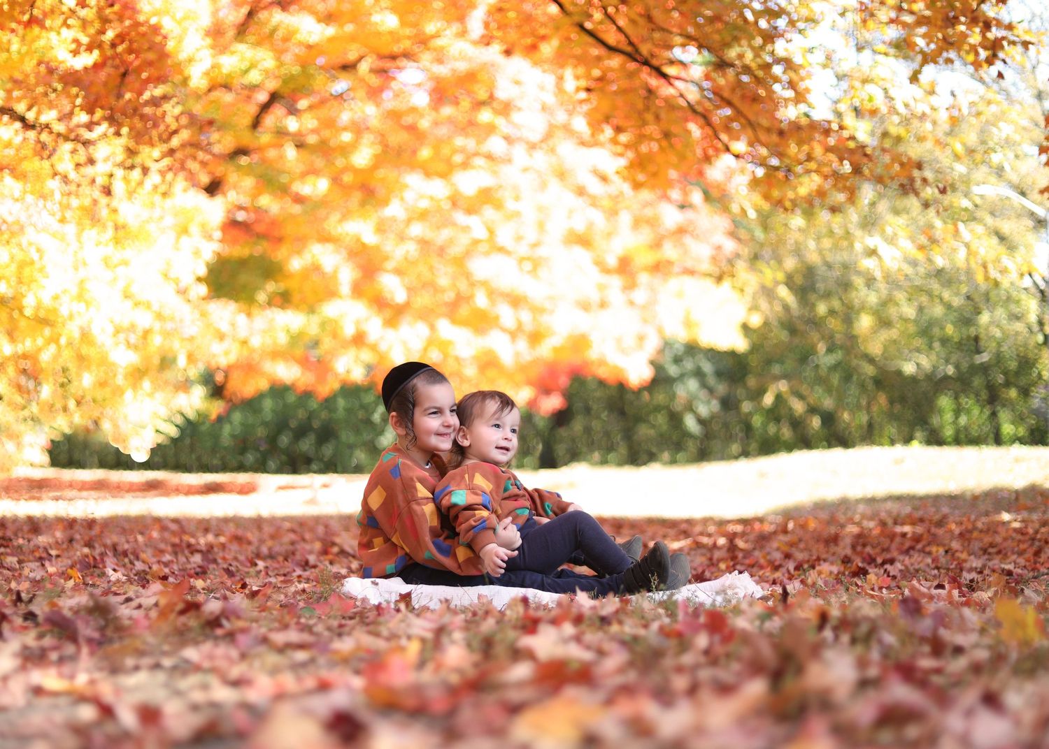 peri rosner photography