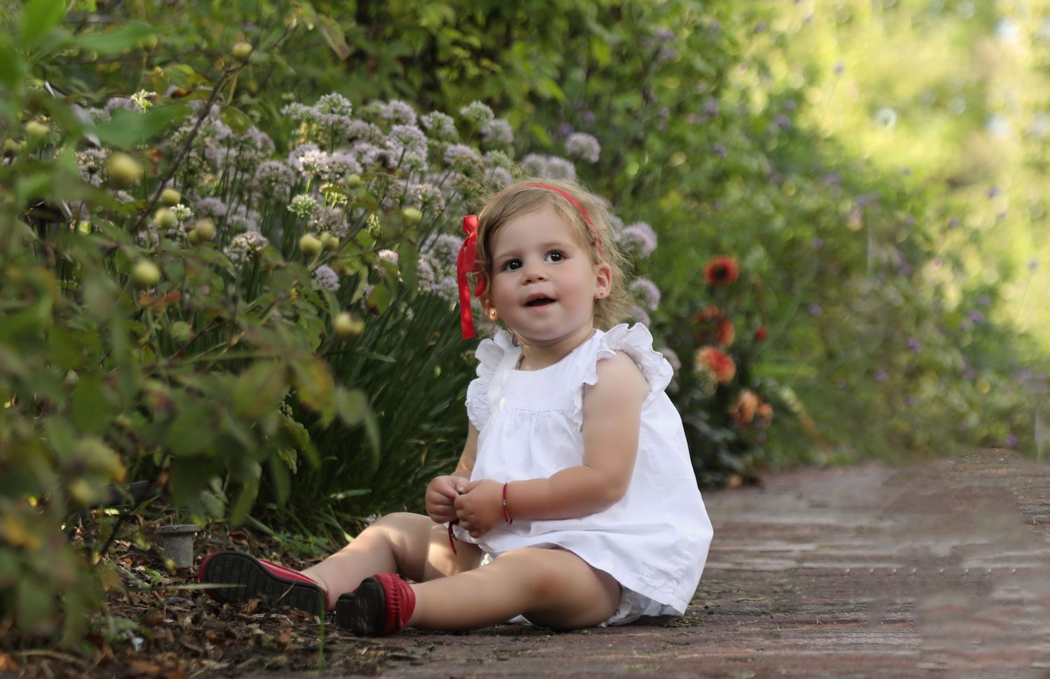 peri rosner photography