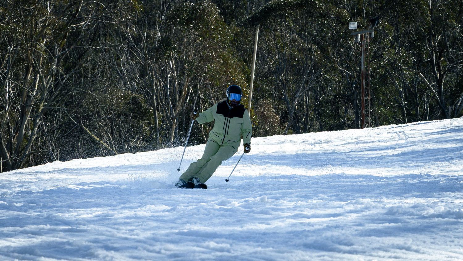 A skier in yellow gear descends a snowy slope with ski poles, surrounded by snow-covered trees in the background.