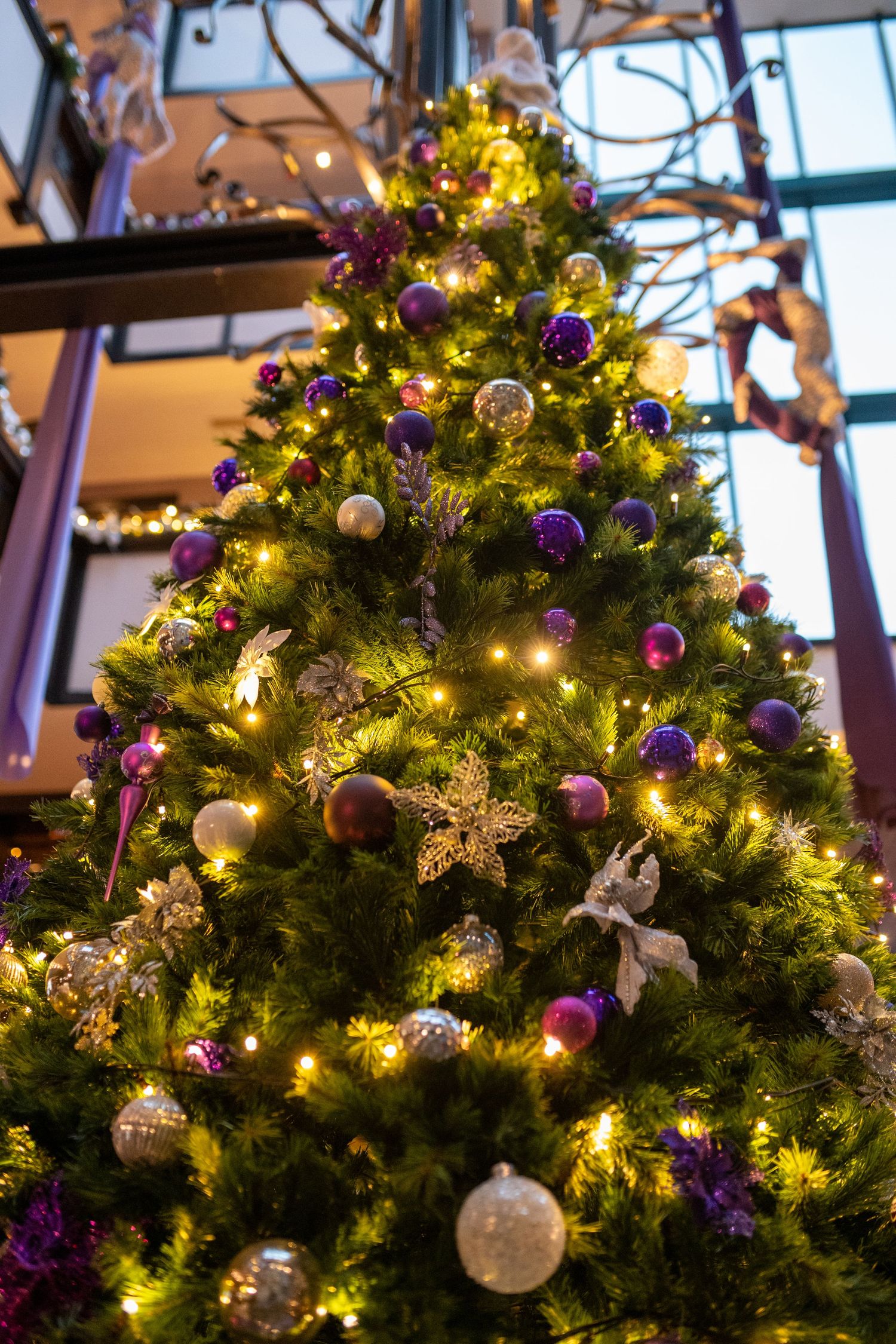 Decorated Christmas tree with purple and silver ornaments and twinkling lights.