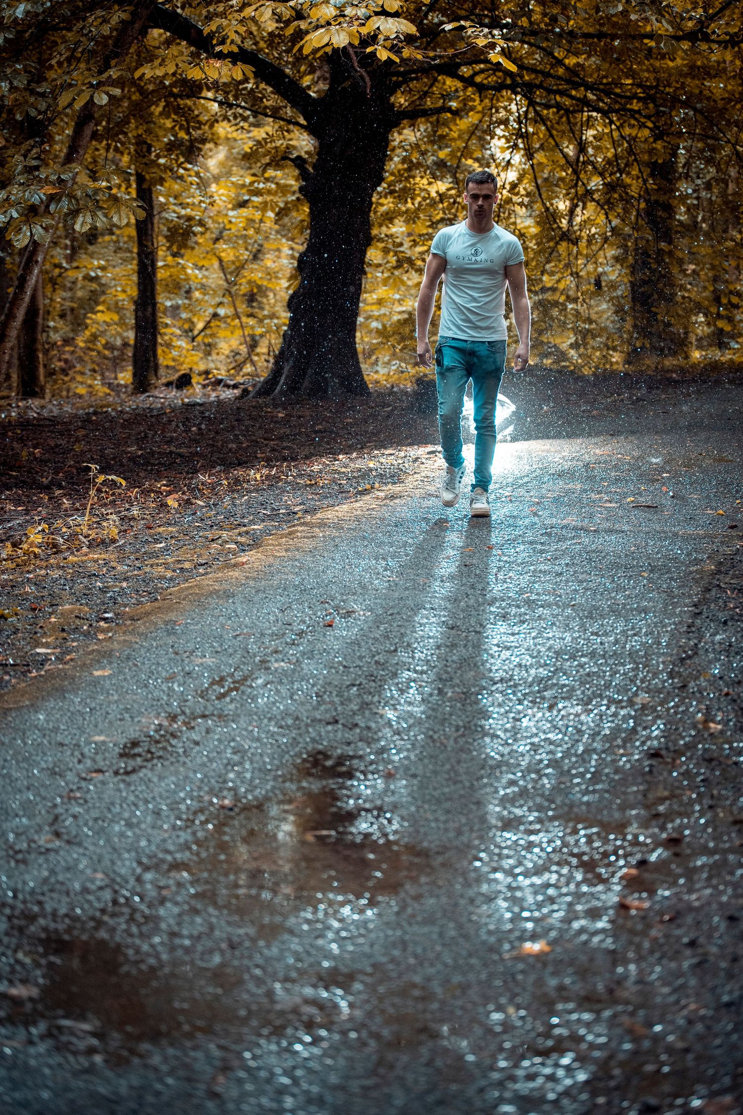 Man walking on wet forest road in autumn with golden foliage.