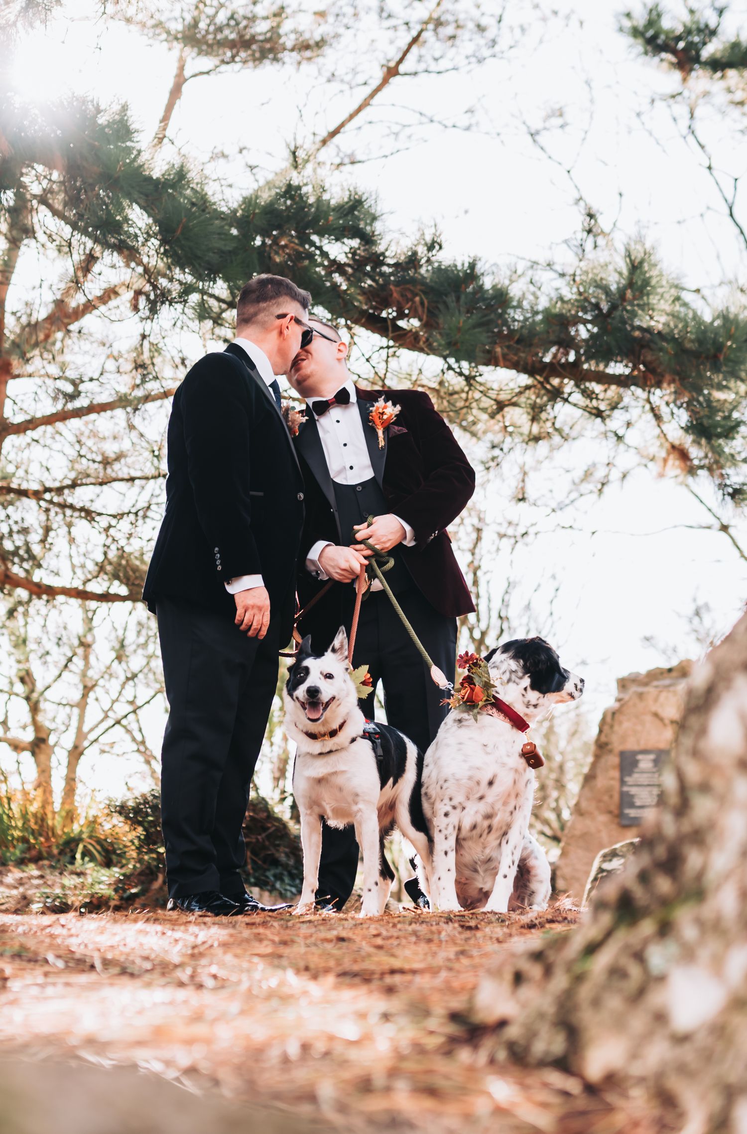 Two dogs with festive accessories stand beside their companions on an autumn trail.