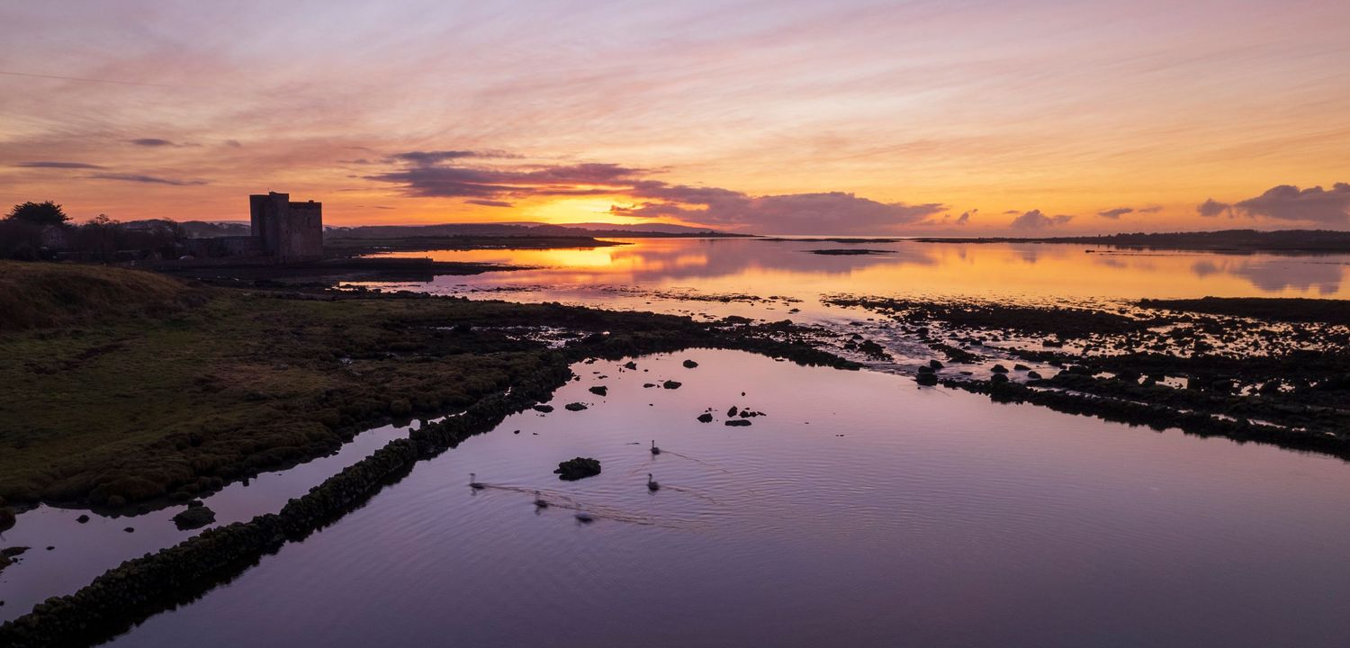 Stunning purple and orange sunset reflects over a coastal wetland with a city skyline silhouetted in the distance.