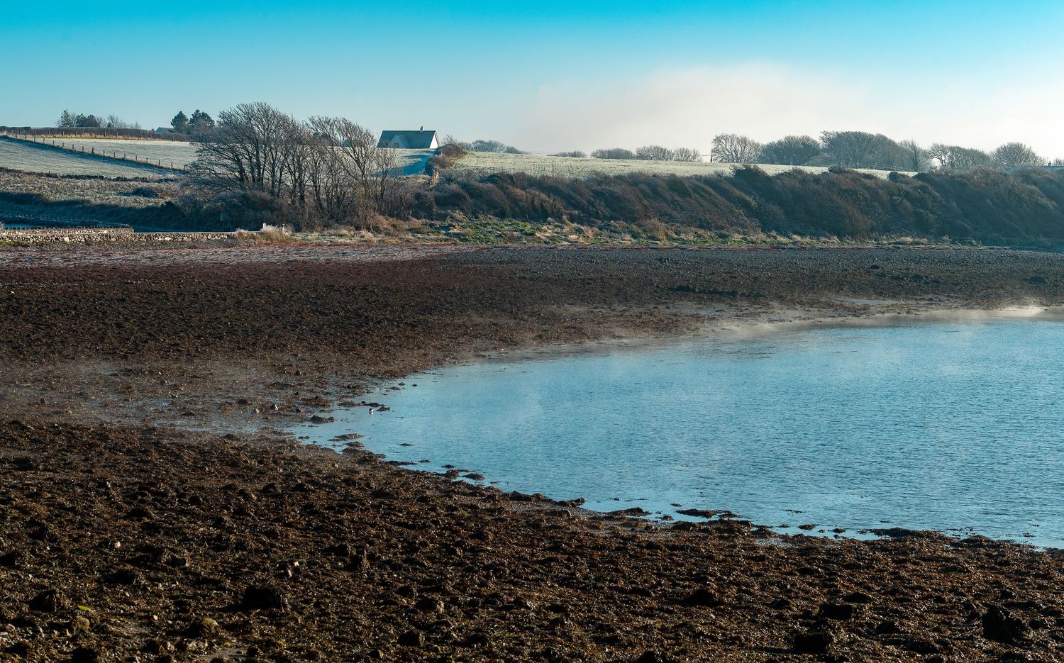 Misty tidal estuary at low tide with frost-covered farmland and blue sky on a cold morning.