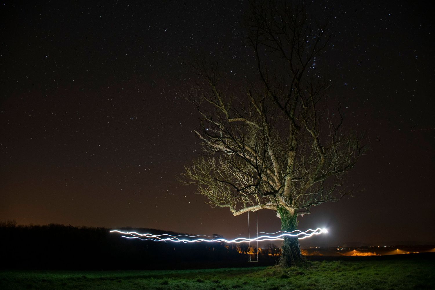 Bare tree silhouetted against starry night sky with light painting trails creating magical long exposure photo.