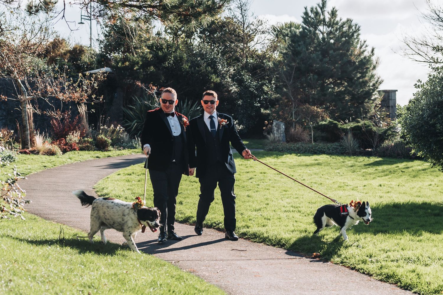 Two grooms in black suits walking their dogs on a sunny park path on their wedding day.