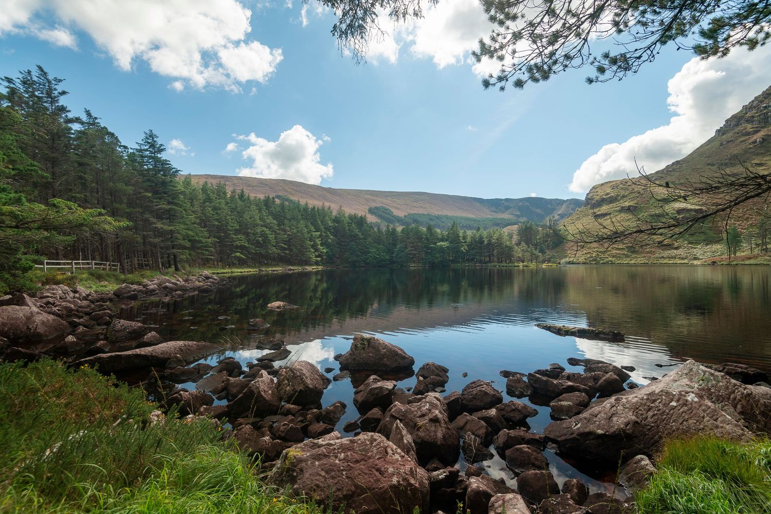 Tranquil mountain lake with rocky shoreline reflecting pine trees and blue sky in Wicklow, Ireland.