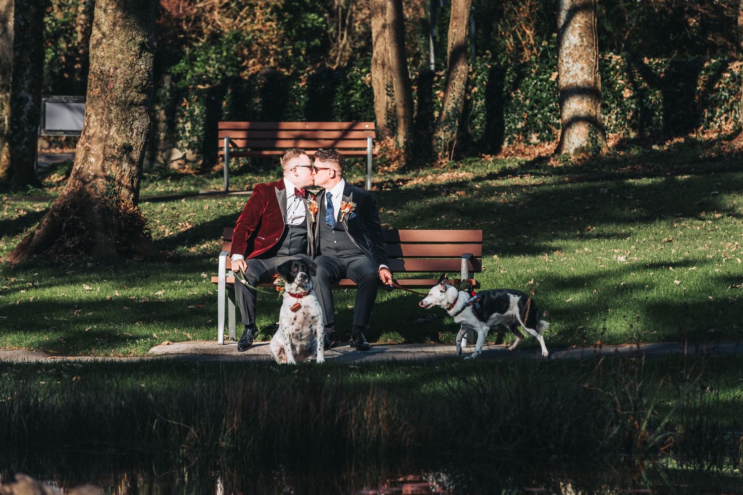 Dogs and their companions enjoy a peaceful moment by a pond with benches and trees in a park setting.