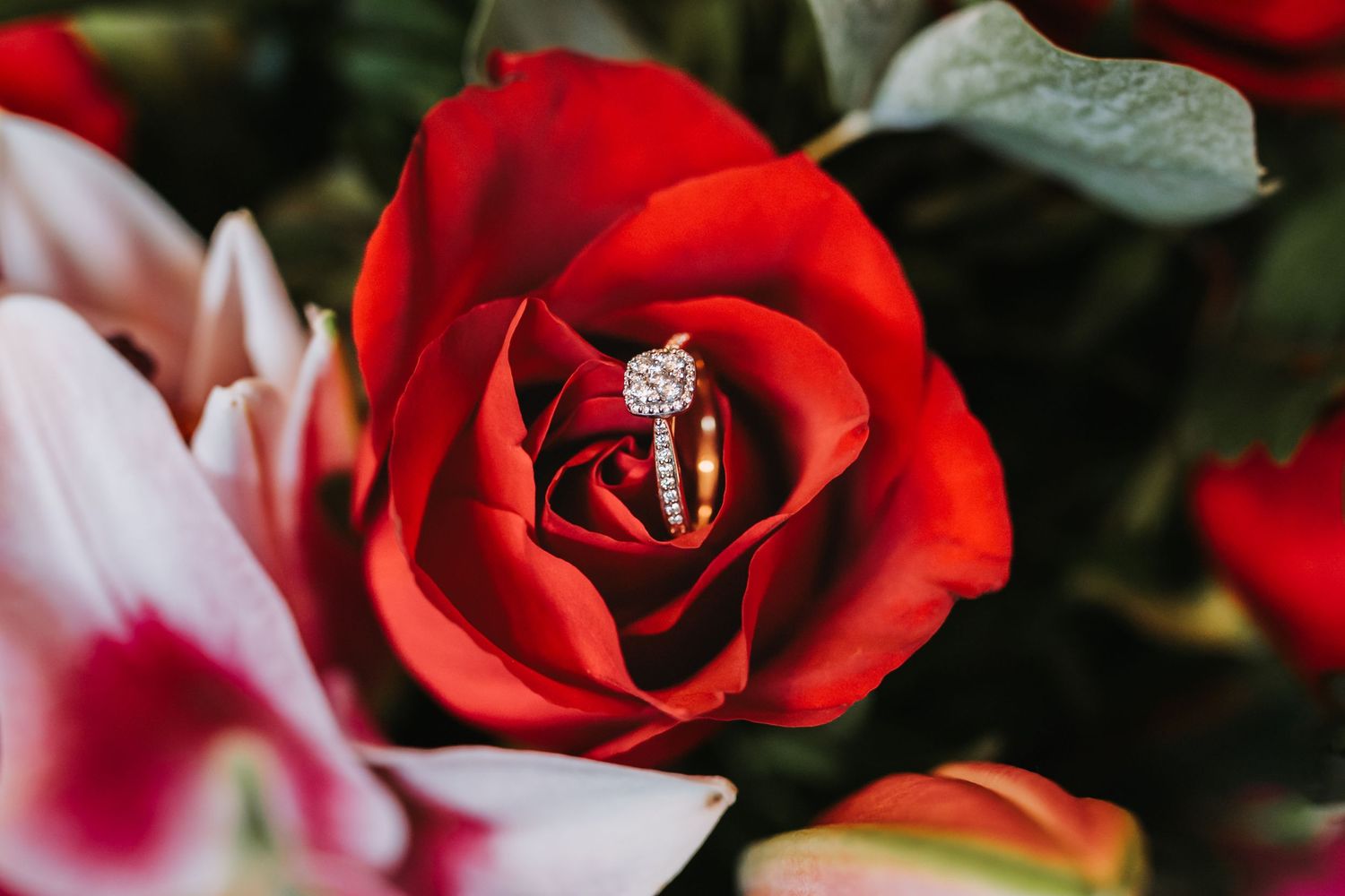 Gold diamond engagement and wedding rings nestled inside a vibrant red rose bloom in a romantic floral arrangement.