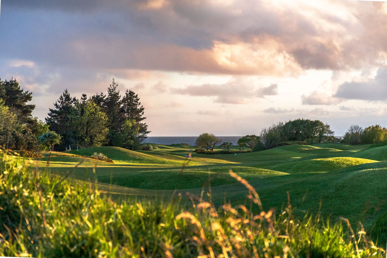 Lush green golf course fairway bathed in golden sunset light under dramatic cloudy sky.