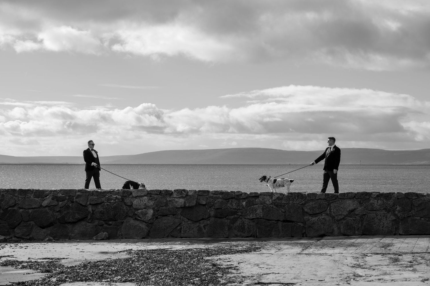 Two grooms walking dogs along a stone pier by the sea in a black and white wedding photo.