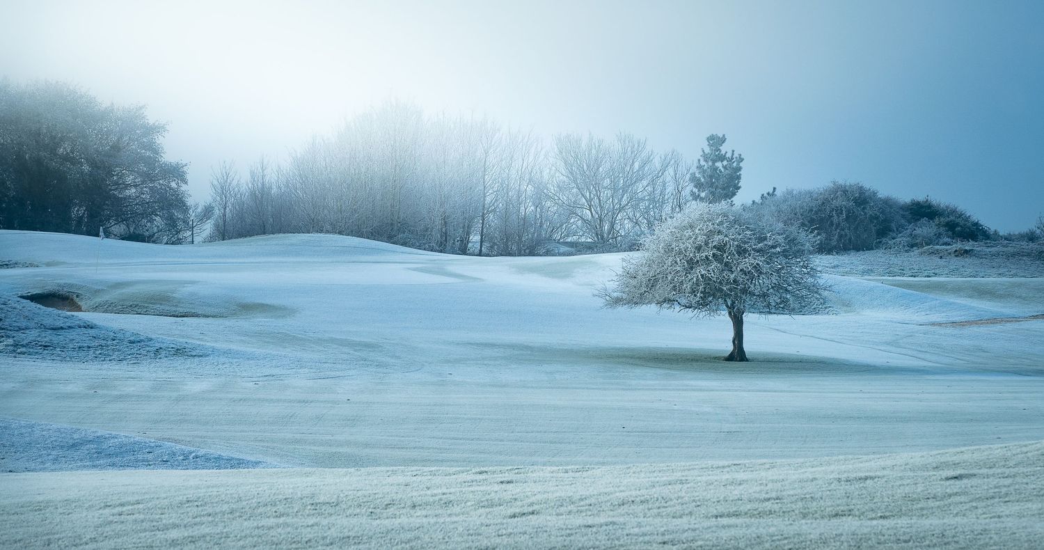 Serene winter landscape with frost-covered rolling hills, a snow-white tree, and misty bare trees in soft blue light.
