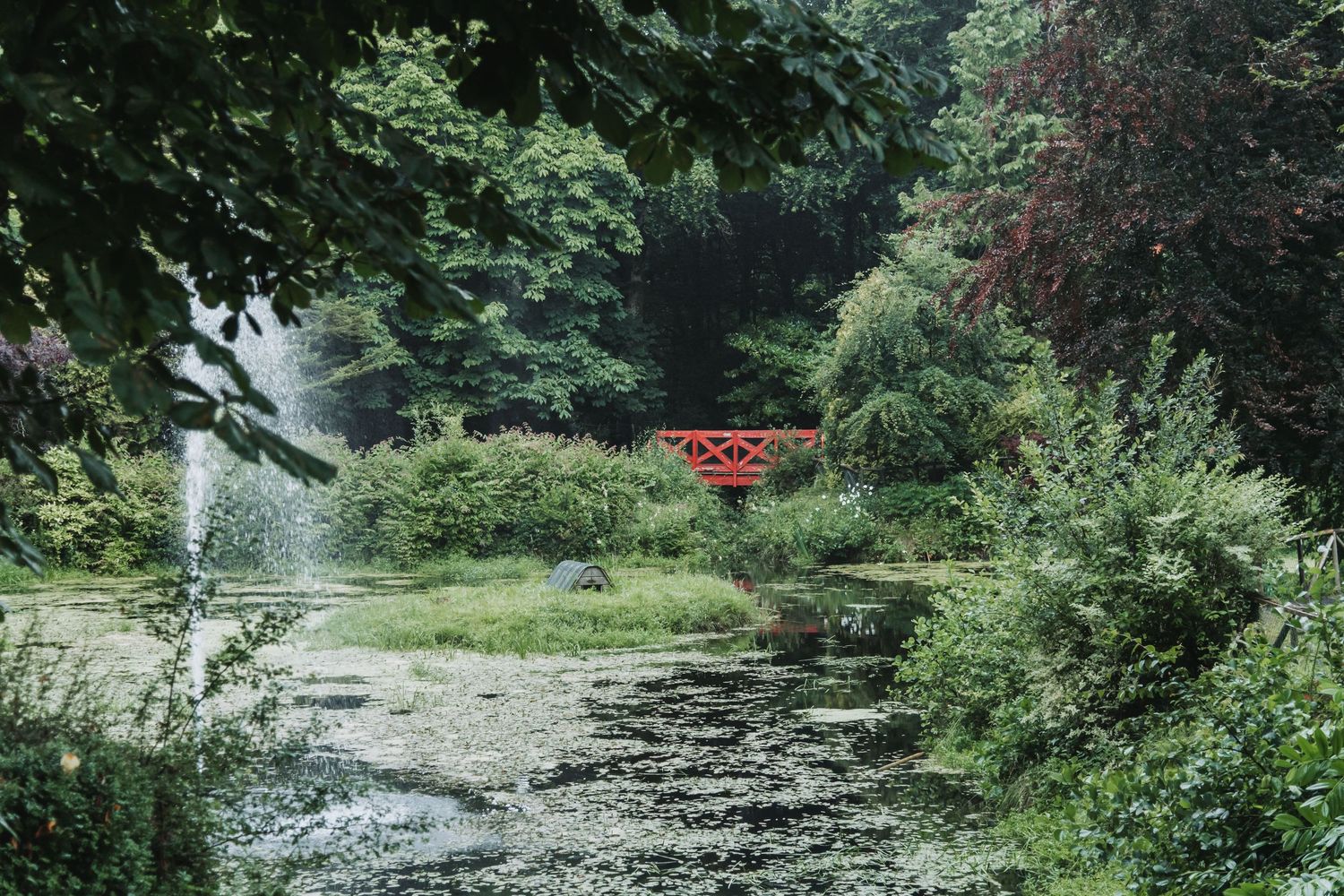 Tranquil pond surrounded by lush green trees and foliage in a peaceful garden setting.