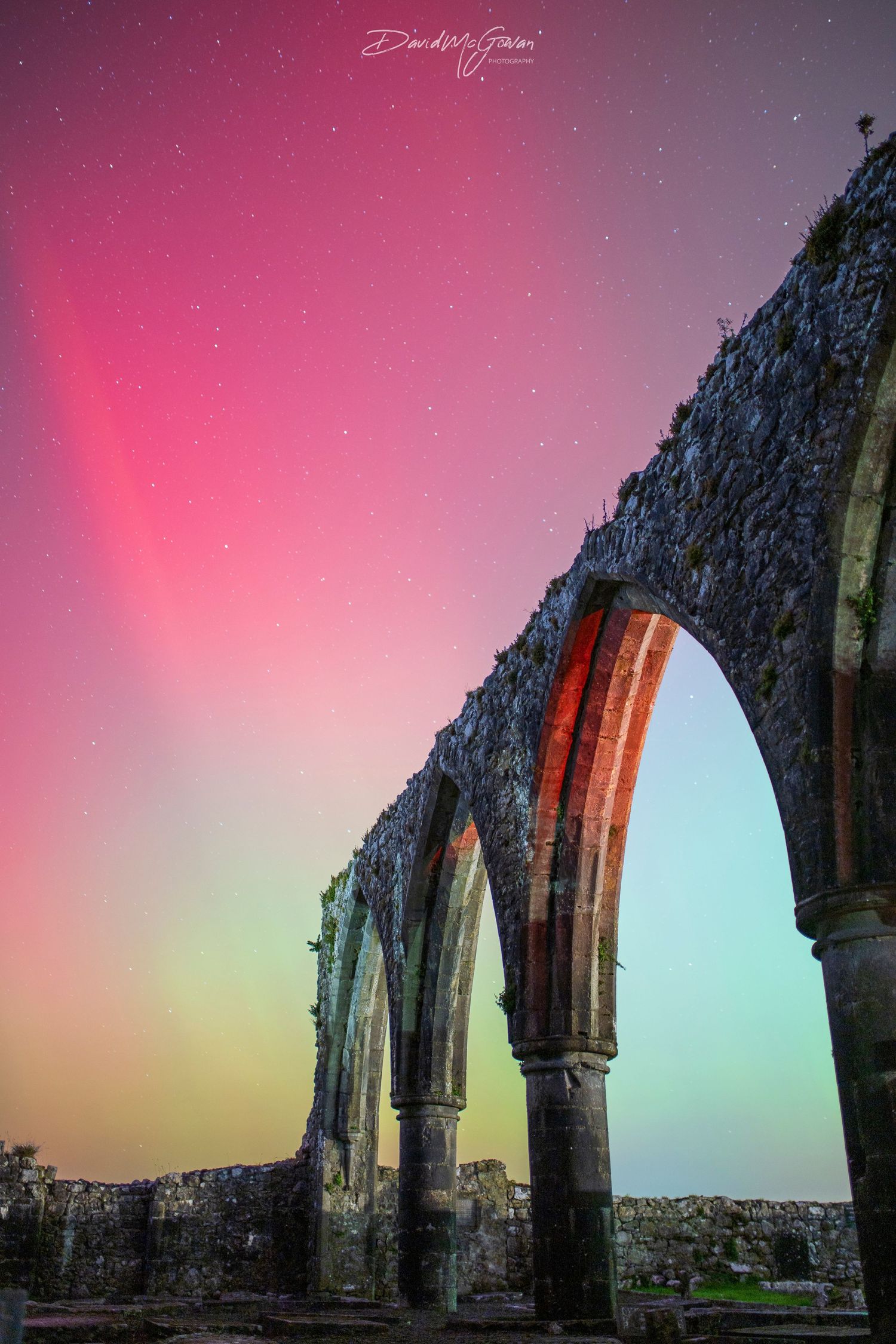 Ancient stone arches of a ruined abbey glow under a stunning aurora borealis with pink and green hues lighting the night sky.