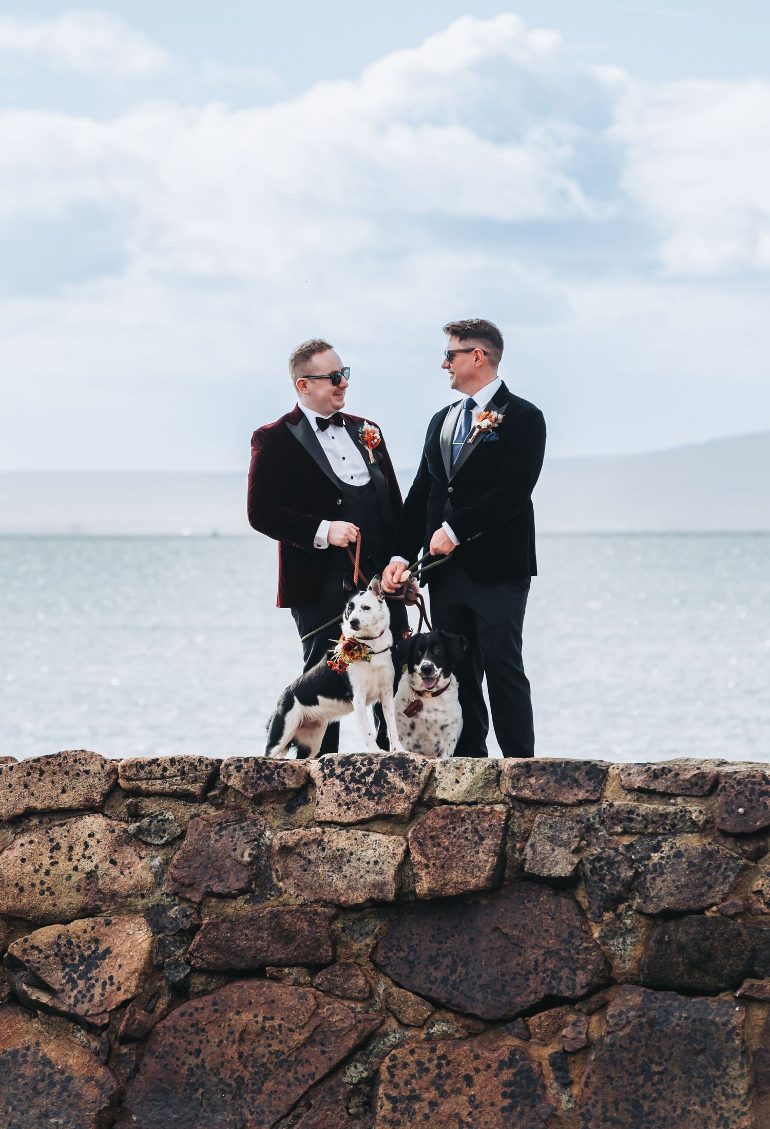 Two grooms in formal suits stand on a stone wall by the sea with their two dogs during an outdoor wedding ceremony.