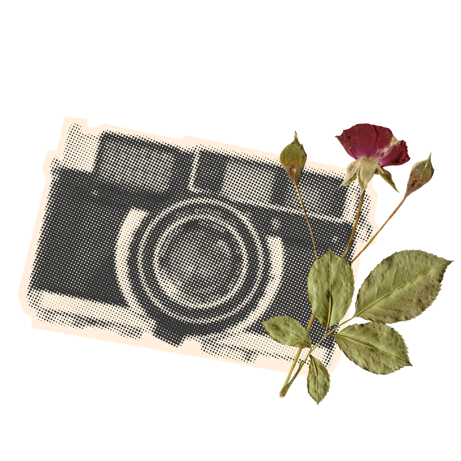 A vintage camera lens and red rose petals arranged in an artistic flat lay composition against a white background.