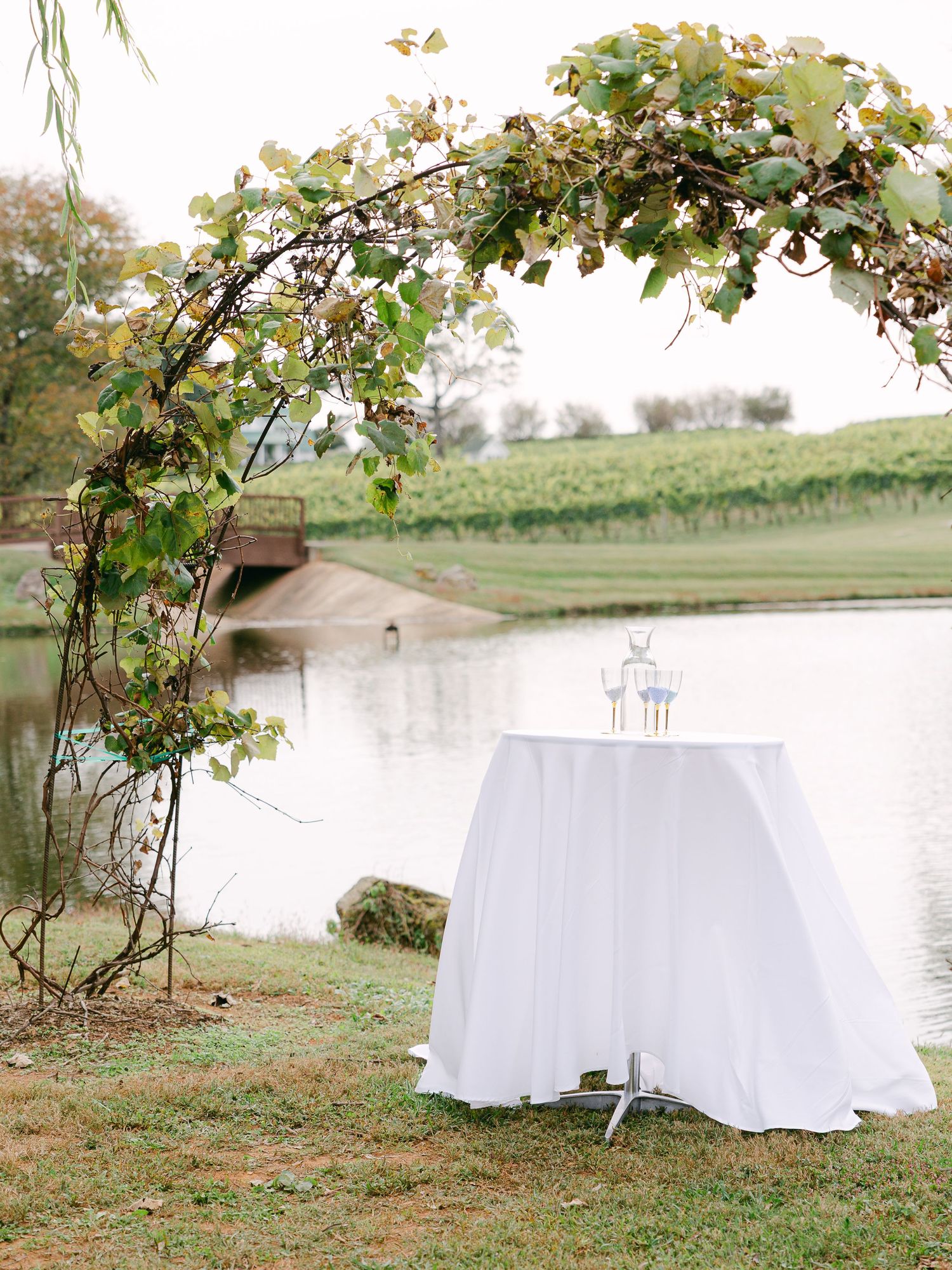 Explore this southeast luxury micro wedding at Shelton Vineyards, Southeastern US elopement and intimate wedding photographer, ceremony