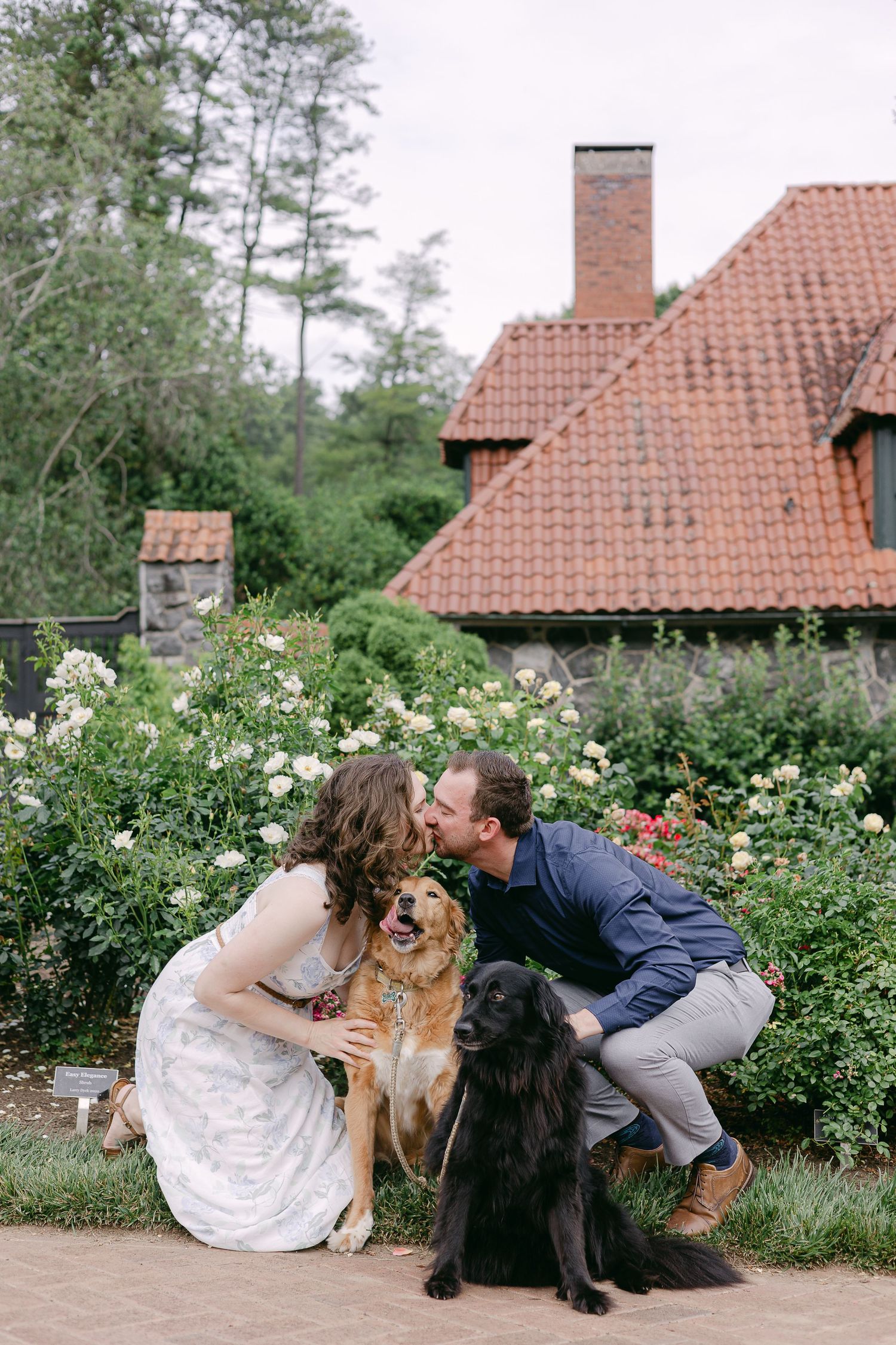 Kalli Hicks is a photographer based in Asheville, North Carolina, who tells wedding and elopement stories in the Southeastern US and Ireland
