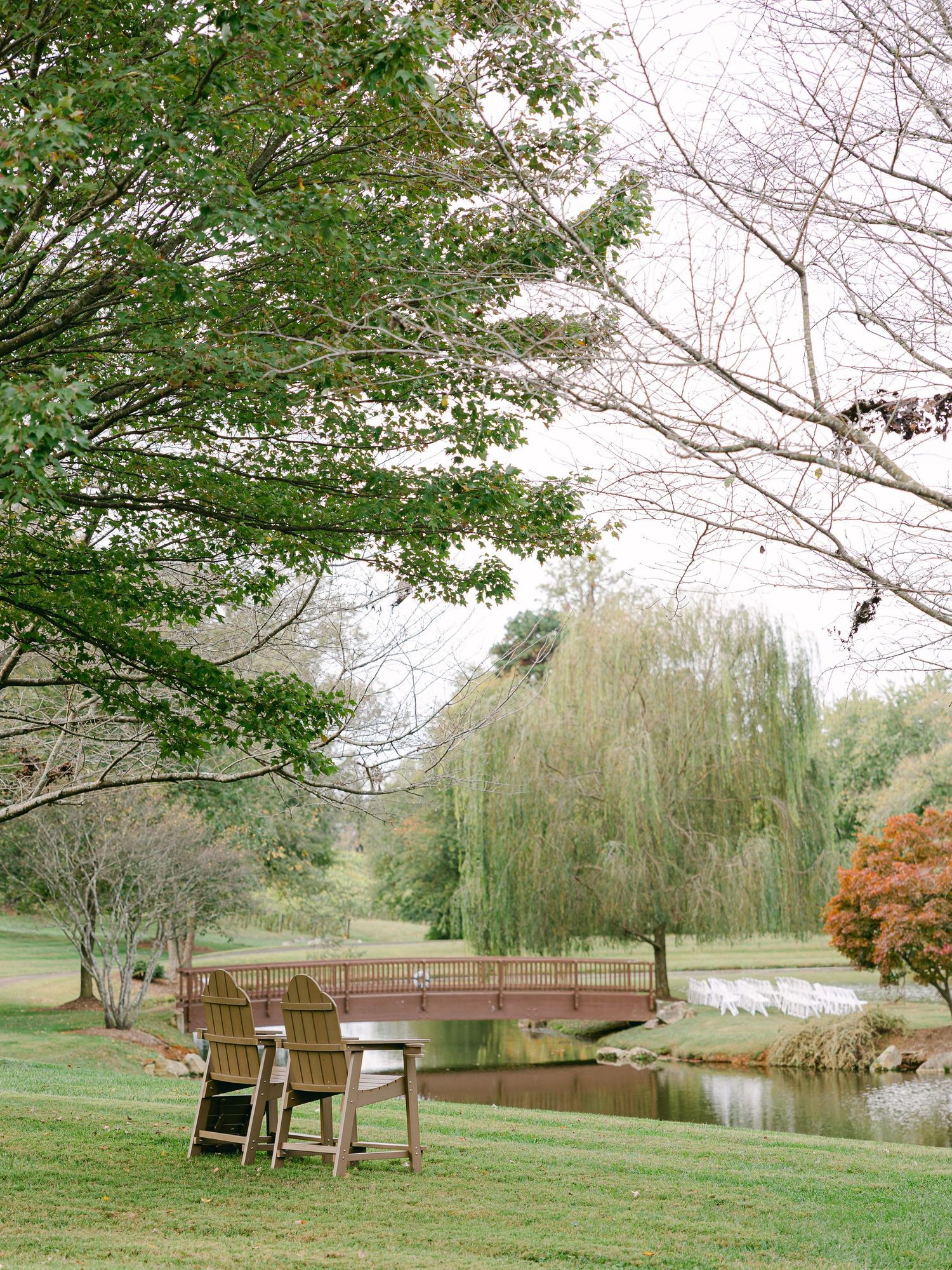 Explore this southeast luxury micro wedding at Shelton Vineyards, Southeastern US elopement and intimate wedding photographer, ceremony site