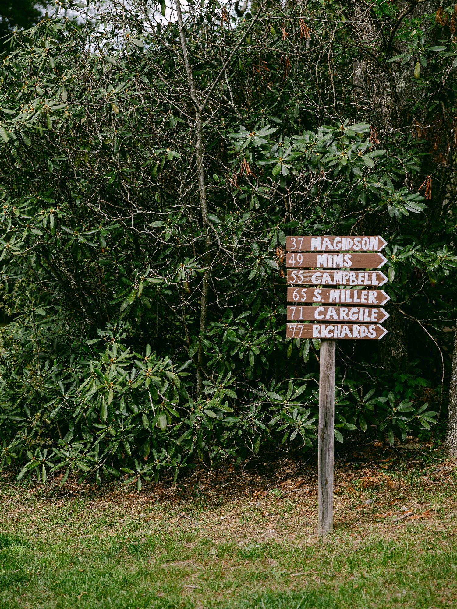 micro wedding photographer based in Asheville, North Carolina, curated elopement stories in the Southeastern US and Ireland editorial style