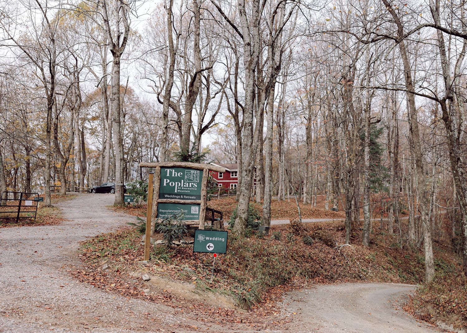 microwedding photographer based in Asheville, North Carolina, who tells wedding and elopement stories in the Southeastern US and Ireland