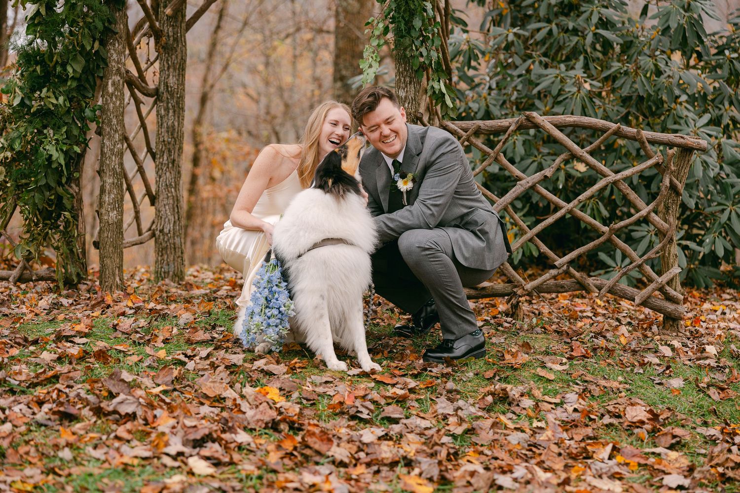 micro wedding photographer based in Asheville, North Carolina, who tells wedding and elopement stories in the Southeastern US and Ireland