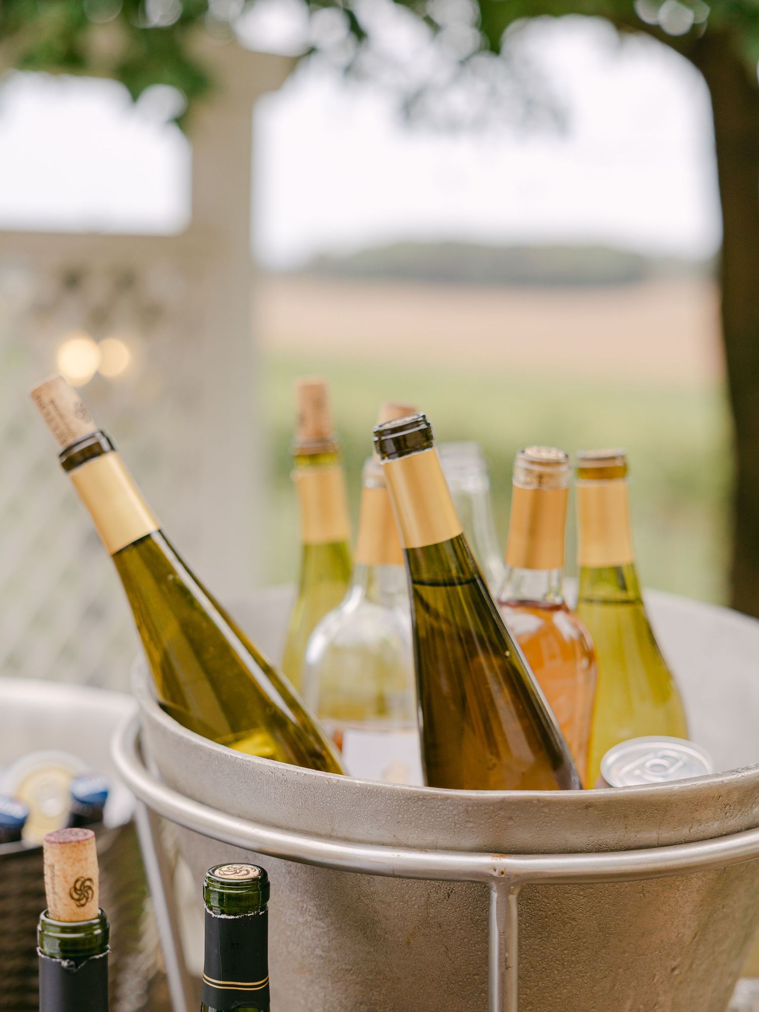 Explore this southeast luxury intimate wedding at Shelton Vineyards, Southeastern US elopement and intimate wedding photographer, cocktails