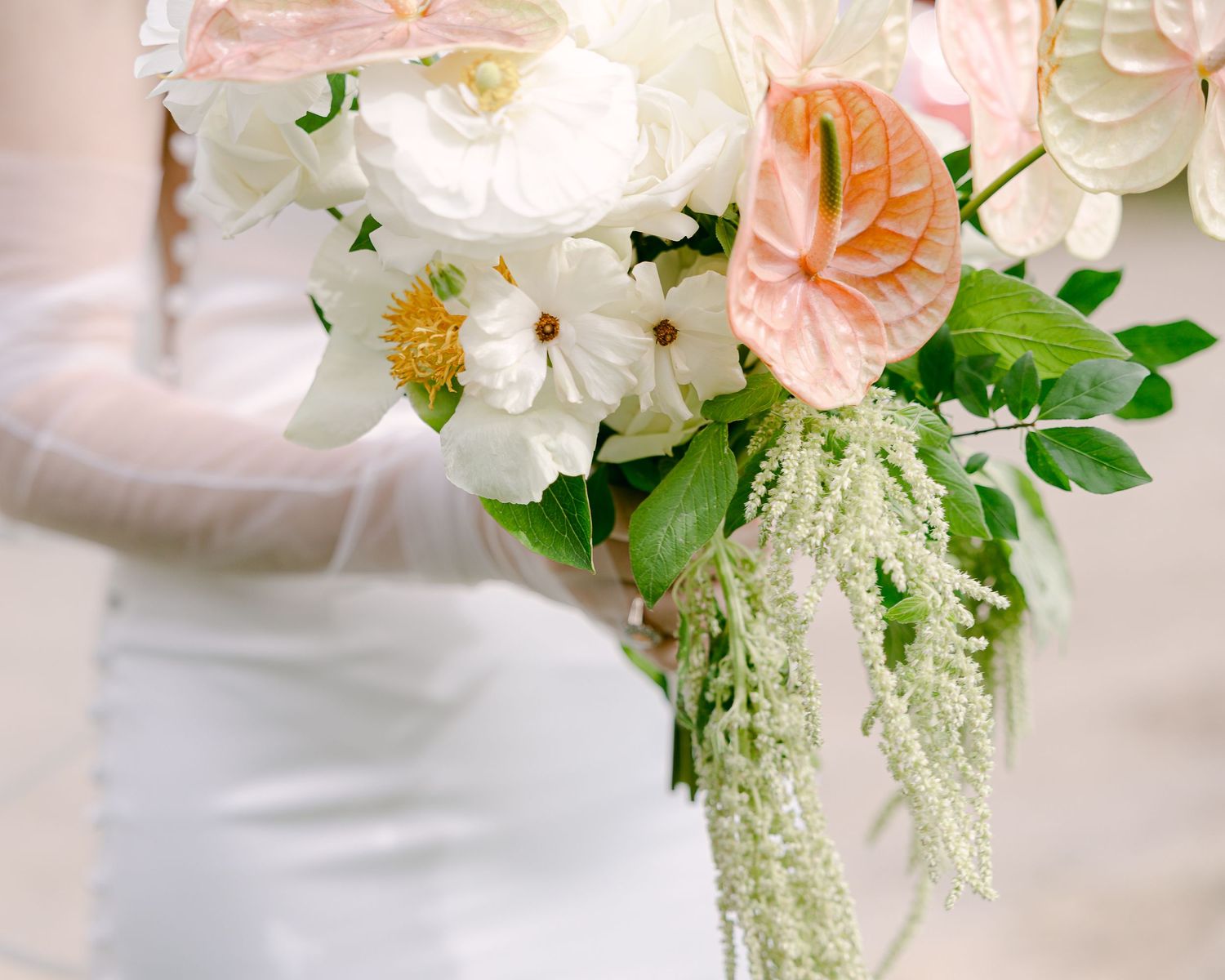 micro wedding photographer based in Asheville, North Carolina, curated elopement stories in the Southeastern US and Ireland editorial style